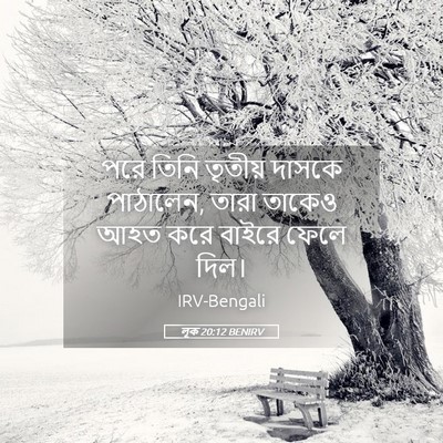 Picture 05 - লূক 20:12 BENIRV - পরে তিনি তৃতীয় - Bible Verse Picture