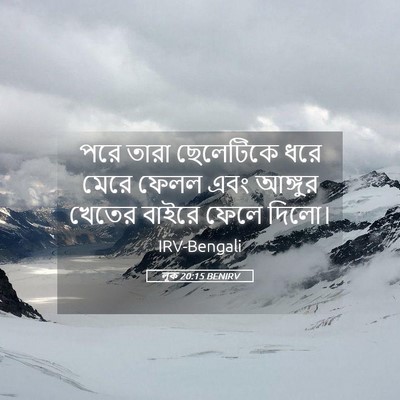 Picture 05 - লূক 20:15 BENIRV - পরে তারা ছেলেটিকে - Bible Verse Picture