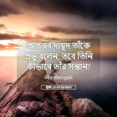 Picture 05 - লূক 20:44 BENIRV - অতএব দায়ূদ তাঁকে - Bible Verse Picture
