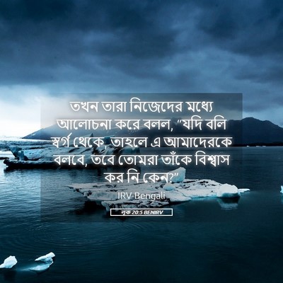 Picture 05 - লূক 20:5 BENIRV - তখন তারা নিজেদের - Bible Verse Picture