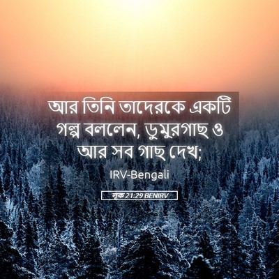 Picture 05 - লূক 21:29 BENIRV - আর তিনি তাদেরকে - Bible Verse Picture
