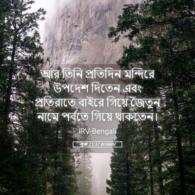 Picture 05 - লূক 21:37 BENIRV - আর তিনি প্রতিদিন - Bible Verse Picture