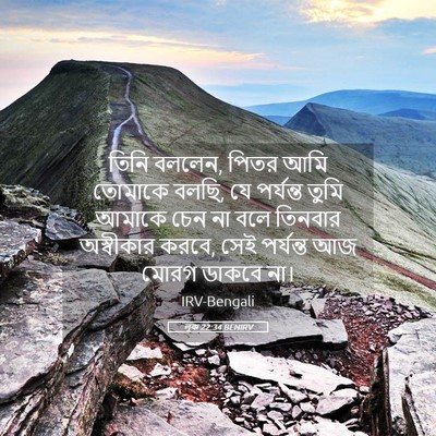 Picture 05 - লূক 22:34 BENIRV - তিনি বললেন, পিতর - Bible Verse Picture