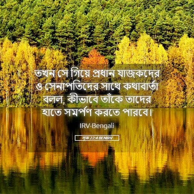 Picture 05 - লূক 22:4 BENIRV - তখন সে গিয়ে - Bible Verse Picture