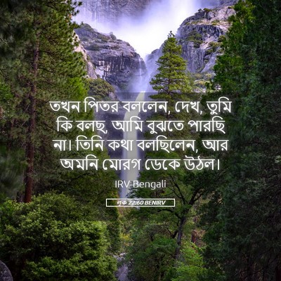 Picture 05 - লূক 22:60 BENIRV - তখন পিতর বললেন, - Bible Verse Picture