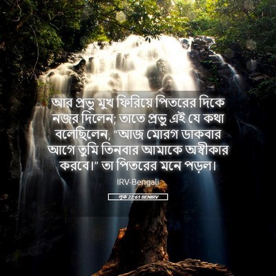 Picture 05 - লূক 22:61 BENIRV - আর প্রভু মুখ - Bible Verse Picture