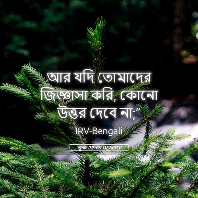 Picture 05 - লূক 22:68 BENIRV - আর যদি তোমাদের - Bible Verse Picture