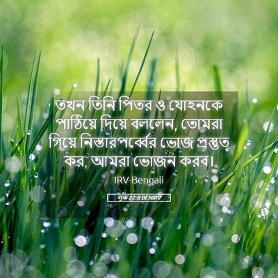 Picture 05 - লূক 22:8 BENIRV - তখন তিনি পিতর ও - Bible Verse Picture