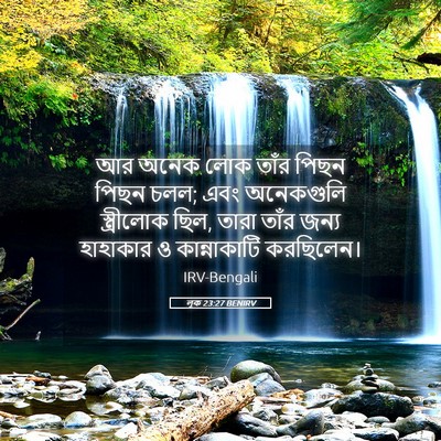 Picture 05 - লূক 23:27 BENIRV - আর অনেক লোক তাঁর - Bible Verse Picture