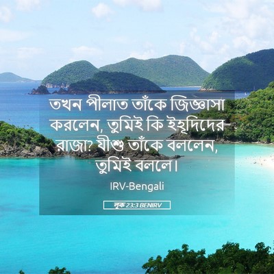 Picture 05 - লূক 23:3 BENIRV - তখন পীলাত তাঁকে - Bible Verse Picture