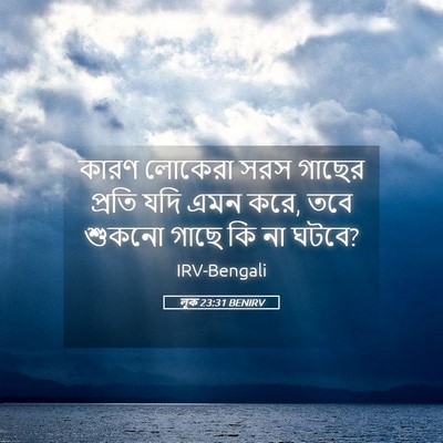 Picture 05 - লূক 23:31 BENIRV - কারণ লোকেরা সরস - Bible Verse Picture