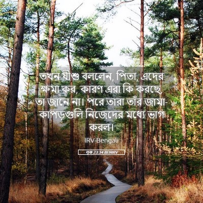 Picture 05 - লূক 23:34 BENIRV - তখন যীশু বললেন, - Bible Verse Picture