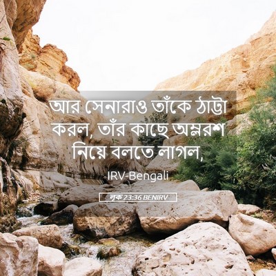 Picture 05 - লূক 23:36 BENIRV - আর সেনারাও তাঁকে - Bible Verse Picture
