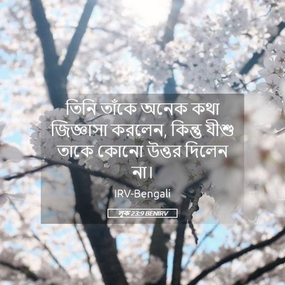 Picture 05 - লূক 23:9 BENIRV - তিনি তাঁকে অনেক - Bible Verse Picture