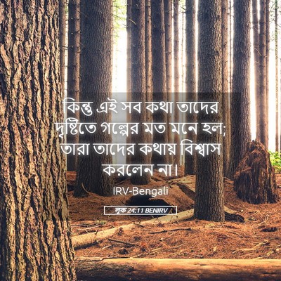 Picture 05 - লূক 24:11 BENIRV - কিন্তু এই সব কথা - Bible Verse Picture
