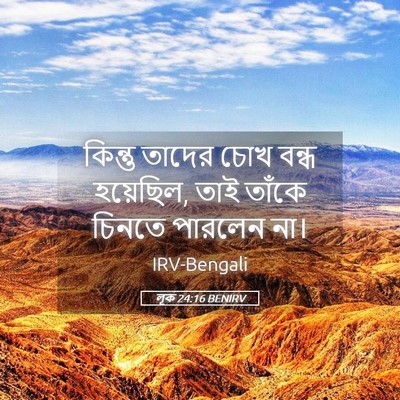 Picture 05 - লূক 24:16 BENIRV - কিন্তু তাদের চোখ - Bible Verse Picture