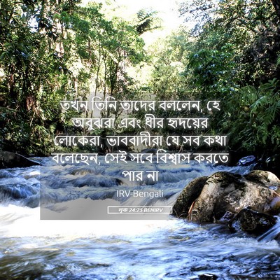 Picture 05 - লূক 24:25 BENIRV - তখন তিনি তাদের - Bible Verse Picture