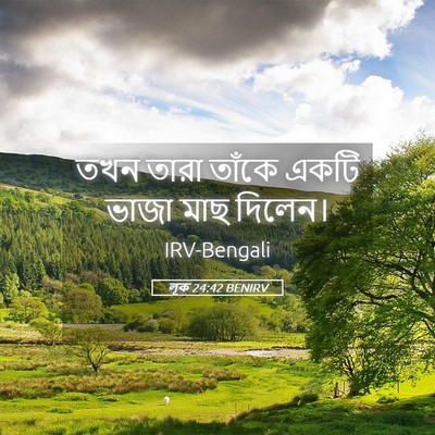 Picture 05 - লূক 24:42 BENIRV - তখন তারা তাঁকে - Bible Verse Picture