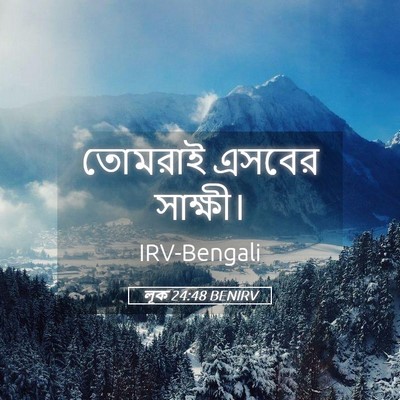 Picture 05 - লূক 24:48 BENIRV - তোমরাই এসবের - Bible Verse Picture