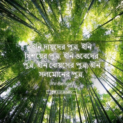 Picture 05 - লূক 3:32 BENIRV - ইনি দায়ূদের - Bible Verse Picture