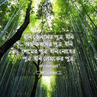 Picture 05 - লূক 3:36 BENIRV - ইনি কৈননের পুত্র, - Bible Verse Picture