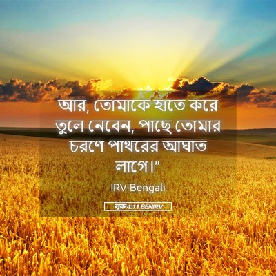 Picture 05 - লূক 4:11 BENIRV - আর, তোমাকে হাতে করে - Bible Verse Picture
