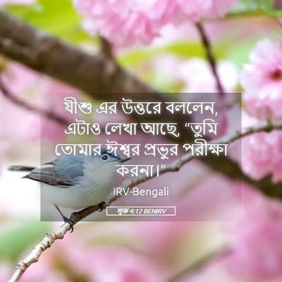 Picture 05 - লূক 4:12 BENIRV - যীশু এর উত্তরে - Bible Verse Picture