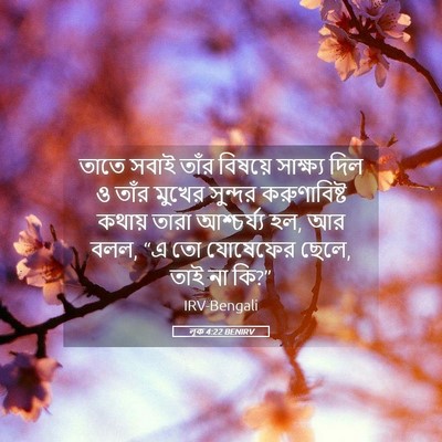 Picture 05 - লূক 4:22 BENIRV - তাতে সবাই তাঁর - Bible Verse Picture