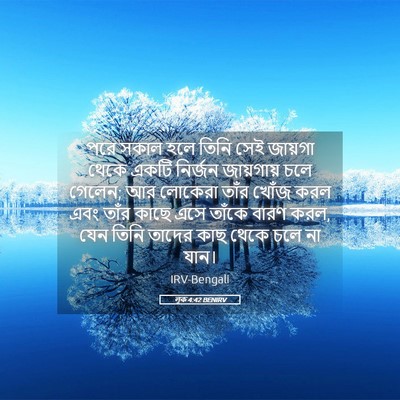 Picture 05 - লূক 4:42 BENIRV - পরে সকাল হলে তিনি - Bible Verse Picture