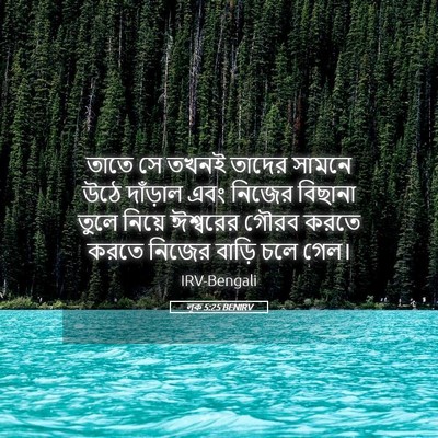 Picture 05 - লূক 5:25 BENIRV - তাতে সে তখনই তাদের - Bible Verse Picture