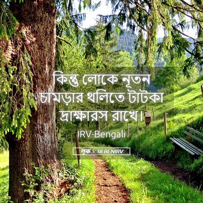 Picture 05 - লূক 5:38 BENIRV - কিন্তু লোকে নূতন - Bible Verse Picture