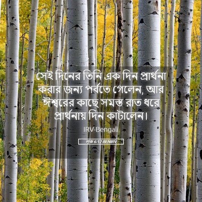 Picture 05 - লূক 6:12 BENIRV - সেই দিনের তিনি এক - Bible Verse Picture