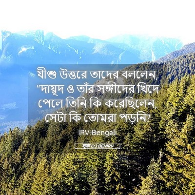 Picture 05 - লূক 6:3 BENIRV - যীশু উত্তরে তাদের - Bible Verse Picture