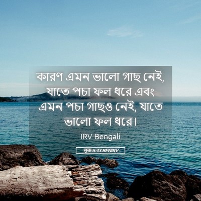 Picture 05 - লূক 6:43 BENIRV - কারণ এমন ভালো গাছ - Bible Verse Picture