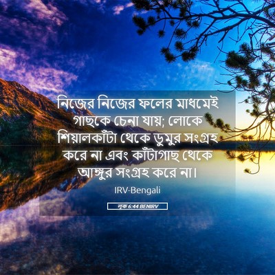 Picture 05 - লূক 6:44 BENIRV - নিজের নিজের ফলের - Bible Verse Picture