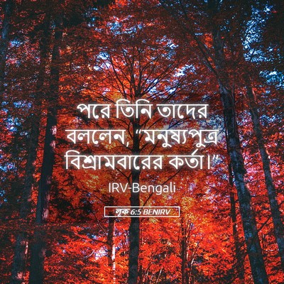 Picture 05 - লূক 6:5 BENIRV - পরে তিনি তাদের - Bible Verse Picture
