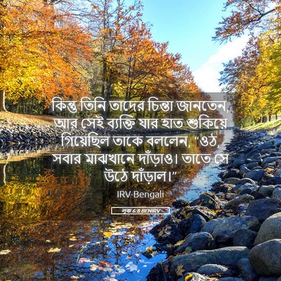 Picture 05 - লূক 6:8 BENIRV - কিন্তু তিনি তাদের - Bible Verse Picture