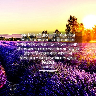 Picture 05 - লূক 7:44 BENIRV - আর তিনি সেই - Bible Verse Picture