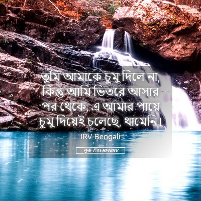 Picture 05 - লূক 7:45 BENIRV - তুমি আমাকে চুমু - Bible Verse Picture