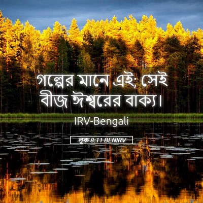 Picture 05 - লূক 8:11 BENIRV - গল্পের মানে এই; সেই - Bible Verse Picture