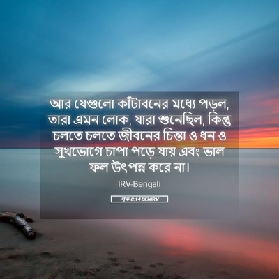 Picture 05 - লূক 8:14 BENIRV - আর যেগুলো - Bible Verse Picture