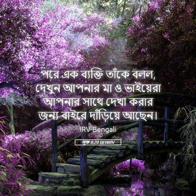Picture 05 - লূক 8:20 BENIRV - পরে এক ব্যক্তি - Bible Verse Picture