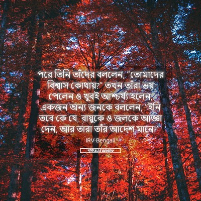 Picture 05 - লূক 8:25 BENIRV - পরে তিনি তাঁদের - Bible Verse Picture