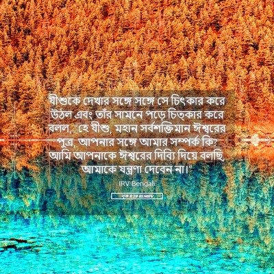 Picture 05 - লূক 8:28 BENIRV - যীশুকে দেখার - Bible Verse Picture