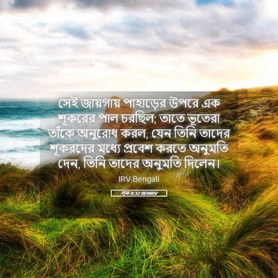 Picture 05 - লূক 8:32 BENIRV - সেই জায়গায় - Bible Verse Picture