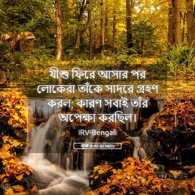 Picture 05 - লূক 8:40 BENIRV - যীশু ফিরে আসার পর - Bible Verse Picture