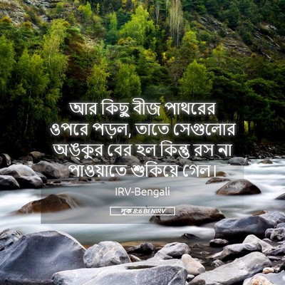 Picture 05 - লূক 8:6 BENIRV - আর কিছু বীজ পাথরের - Bible Verse Picture