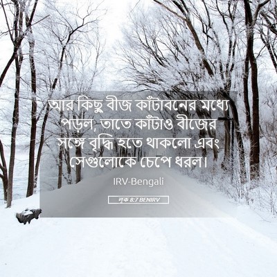 Picture 05 - লূক 8:7 BENIRV - আর কিছু বীজ - Bible Verse Picture