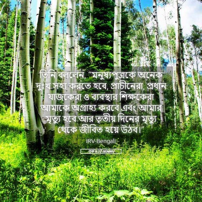Picture 05 - লূক 9:22 BENIRV - তিনি বললেন, - Bible Verse Picture