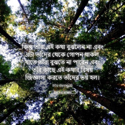Picture 05 - লূক 9:45 BENIRV - কিন্তু তাঁরা এই - Bible Verse Picture